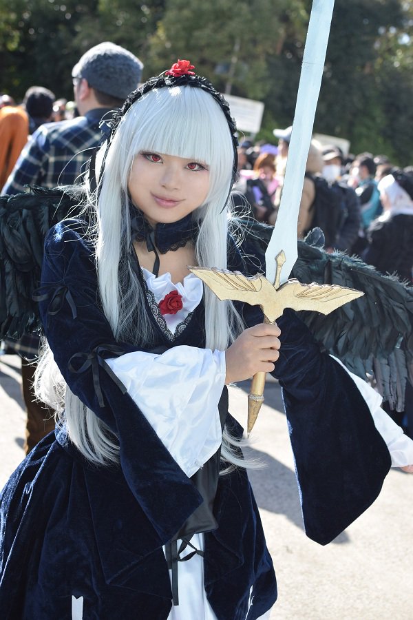 bird blurry choker dress long_hair long_sleeves multiple_girls red_eyes solo suigintou sword weapon
