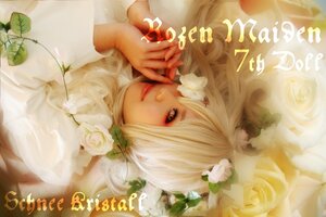 Rating: Safe Score: 0 Tags: 1girl english_text flower happy_birthday kirakishou leaf lips lying rose solo white_flower white_hair white_rose User: admin