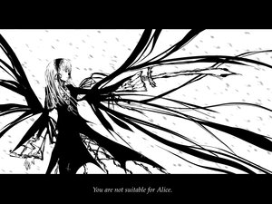 Rating: Safe Score: 0 Tags: 1girl dress greyscale hairband image letterboxed long_hair looking_at_viewer monochrome solo standing suigintou very_long_hair wings User: admin