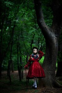 Rating: Safe Score: 0 Tags: 1girl black_hair dress forest nature red_dress shinku solo tree User: admin