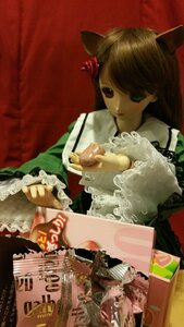 Rating: Safe Score: 0 Tags: 1girl animal_ears brown_hair cat_ears doll flower frills heterochromia long_hair long_sleeves solo suiseiseki User: admin