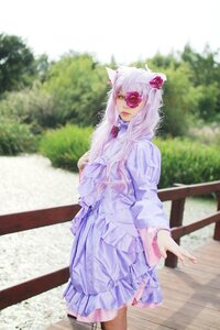 Rating: Safe Score: 0 Tags: 1girl animal_ears barasuishou blurry cat_ears day dress flower frills hair_ornament jewelry outdoors rose solo standing white_hair User: admin