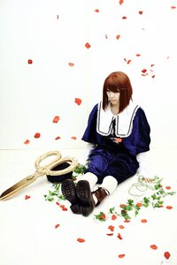 Rating: Safe Score: 0 Tags: 1girl androgynous brown_hair closed_eyes flower frisk_(undertale) petals red_flower red_rose rose rose_petals seiza sitting skirt solo souseiseki striped striped_shirt vertical_stripes User: admin