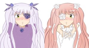 Rating: Safe Score: 0 Tags: 2girls bandage_over_one_eye barasuishou blush dress eyepatch flower frills image kirakishou long_hair multiple_girls pair pink_hair rose silver_hair twintails white_flower white_rose yellow_eyes User: admin