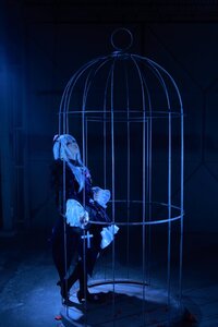 Rating: Safe Score: 0 Tags: 1girl blue_theme dark dress indoors monochrome solo standing suigintou User: admin
