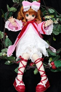Rating: Safe Score: 0 Tags: 1girl bloomers bow doll dress flower frills full_body green_eyes hair_bow hina_ichigo hinaichigo leaf leg_ribbon long_sleeves mary_janes pink_bow plant red_footwear ribbon shoes short_hair solo underwear vines User: admin