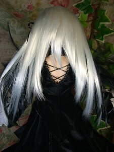 Rating: Safe Score: 0 Tags: 1girl black_dress blood doll dress flower long_hair plant solo suigintou upper_body white_hair User: admin