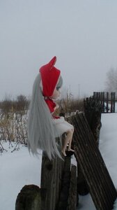 Rating: Safe Score: 0 Tags: 1girl doll long_hair outdoors rain sky solo suigintou User: admin
