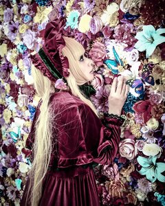 Rating: Safe Score: 0 Tags: 1girl blonde_hair blue_eyes blue_flower blue_rose bug butterfly dress flower hat insect long_hair pink_flower pink_rose purple_flower purple_rose red_flower red_rose rose shinku solo white_flower white_rose yellow_flower yellow_rose User: admin