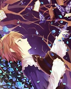 Rating: Safe Score: 0 Tags: 1boy blue_butterfly blue_flower blue_rose bug butterfly flower frills green_eyes image insect petals profile rose short_hair solo souseiseki User: admin