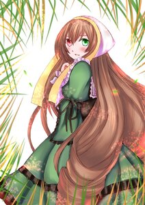 Rating: Safe Score: 0 Tags: 1girl blush brown_hair dress frills green_dress green_eyes head_scarf heterochromia image long_hair long_sleeves looking_at_viewer looking_back plant red_eyes ribbon smile solo suiseiseki very_long_hair User: admin