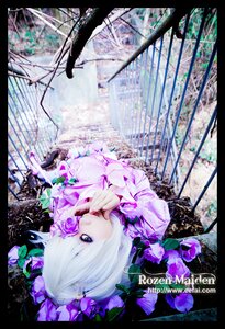 Rating: Safe Score: 0 Tags: 1girl barasuishou black_border blue_flower border flower letterboxed purple_flower rose short_hair solo white_hair User: admin