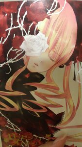 Rating: Safe Score: 0 Tags: 1girl blonde_hair closed_eyes costume_switch dress flower image long_hair rose shinku solo white_flower white_rose User: admin