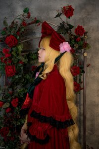 Rating: Safe Score: 0 Tags: 1girl blonde_hair closed_eyes dress flower lips long_hair plant profile red_dress red_flower red_rose rose rose_petals shinku solo thorns User: admin