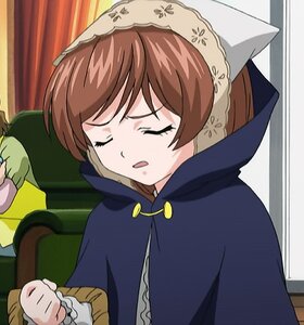 Rating: Safe Score: 0 Tags: 1girl blush brown_hair closed_eyes hood image long_sleeves solo suiseiseki User: admin