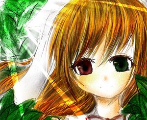 Rating: Safe Score: 0 Tags: 1girl bangs close-up eyebrows_visible_through_hair green_eyes image long_hair looking_at_viewer portrait red_eyes solo suiseiseki User: admin