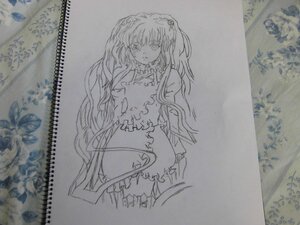 Rating: Safe Score: 0 Tags: 1girl dress frills greyscale image kirakishou long_hair looking_at_viewer monochrome photo solo standing traditional_media two_side_up very_long_hair User: admin