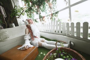 Rating: Safe Score: 0 Tags: 1girl animal_ears kirakishou pink_hair plant sitting solo thighhighs white_hair white_legwear window User: admin