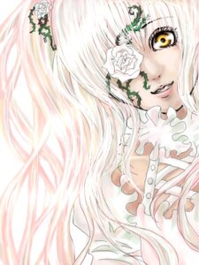Rating: Safe Score: 0 Tags: 1girl flower frills grin image kirakishou long_hair rose smile solo white_flower white_hair white_rose yellow_eyes User: admin