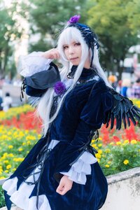 Rating: Safe Score: 0 Tags: 1girl black_dress blurry blurry_background blurry_foreground depth_of_field dress flower frills hairband long_hair long_sleeves looking_at_viewer solo standing suigintou white_hair User: admin