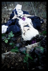 Rating: Safe Score: 0 Tags: 1girl black_border black_dress blurry closed_eyes dress flower frills letterboxed long_sleeves pillarboxed rose solo suigintou white_hair User: admin