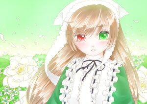 Rating: Safe Score: 0 Tags: 1girl blush brown_hair dress flower frills green_background green_dress green_eyes heterochromia image long_hair long_sleeves looking_at_viewer petals red_eyes ribbon solo suiseiseki tears very_long_hair User: admin