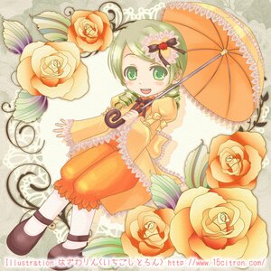 Rating: Safe Score: 0 Tags: 1girl blue_rose drill_hair flower green_eyes green_hair hair_ornament image kanaria open_mouth orange_flower parasol pink_flower pink_rose purple_rose red_flower red_rose ribbon rose short_hair smile solo traditional_media twin_drills umbrella white_rose yellow_flower yellow_rose User: admin