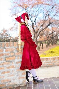 Rating: Safe Score: 0 Tags: 1girl animal_ears blurry blurry_background blurry_foreground cherry_blossoms day depth_of_field flower long_hair outdoors red_dress shinku solo standing tail tree white_legwear User: admin