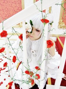 Rating: Safe Score: 0 Tags: 1girl bangs flower kirakishou lips plant red_flower red_rose rose solo thorns white_hair User: admin
