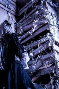 Rating: Safe Score: 0 Tags: flower forest nature sitting solo suigintou User: admin