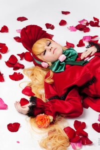 Rating: Safe Score: 0 Tags: blonde_hair bow closed_eyes dress flower long_hair petals red_flower rose rose_petals shinku solo User: admin