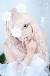 Rating: Safe Score: 0 Tags: 1girl blurry blurry_background blurry_foreground depth_of_field flower kirakishou lips looking_at_viewer photo solo tongue tongue_out vertical_stripes white_flower white_hair white_rose yellow_eyes User: admin