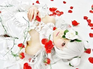 Rating: Safe Score: 0 Tags: 1girl flower kirakishou lips petals plant red_flower red_rose rose solo thorns white_flower white_hair white_rose User: admin