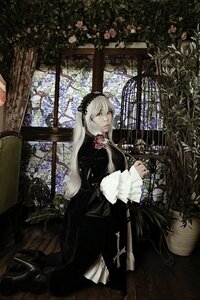 Rating: Safe Score: 0 Tags: 1girl black_dress dress flower frills gothic_lolita hairband lolita_fashion long_hair silver_hair sitting solo suigintou window User: admin