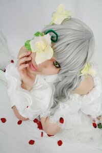 Rating: Safe Score: 0 Tags: 1girl flower green_eyes grey_hair hair_ornament kirakishou lips looking_at_viewer lying petals solo User: admin