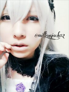 Rating: Safe Score: 0 Tags: 1girl bangs black_eyes closed_mouth face flower hair_ornament lips looking_at_viewer portrait rose solo suigintou traditional_media white_hair User: admin