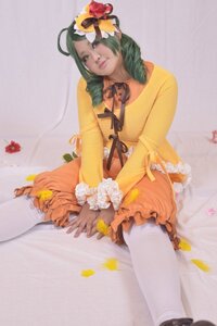 Rating: Safe Score: 0 Tags: 1girl autumn_leaves dress flower frills green_eyes green_hair hair_flower hair_ornament kanaria lips orange_shirt pantyhose ribbon sitting solo striped white_legwear yellow_dress User: admin