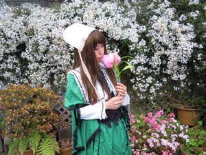 Rating: Safe Score: 0 Tags: 1girl brown_hair dress flower garden green_dress hat long_hair long_sleeves outdoors solo standing suiseiseki very_long_hair wisteria User: admin