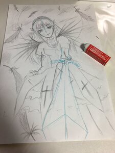 Rating: Safe Score: 0 Tags: 1girl dress hairband image long_sleeves looking_at_viewer monochrome sketch solo suigintou wings User: admin