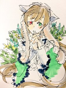 Rating: Safe Score: 0 Tags: 1girl animal_ears brown_hair flower frills green_eyes heterochromia image leaf long_hair long_sleeves looking_at_viewer plant red_eyes solo souseiseki suiseiseki traditional_media very_long_hair vines User: admin