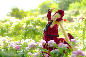 Rating: Safe Score: 0 Tags: 1girl blonde_hair blurry bonnet depth_of_field dress field flower long_hair long_sleeves red_dress shinku solo User: admin