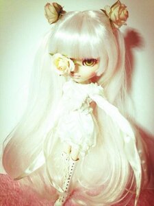 Rating: Safe Score: 0 Tags: 1girl animal auto_tagged bird doll fujiwara_no_mokou kirakishou solo User: admin