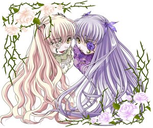 Rating: Safe Score: 0 Tags: 2girls barasuishou eyepatch flower image kirakishou long_hair multiple_girls pair pink_flower pink_rose plant purple_flower purple_rose rose thorns two_side_up very_long_hair vines white_rose yellow_eyes User: admin