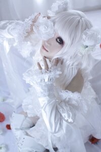 Rating: Safe Score: 0 Tags: 1girl animal_ears auto_tagged blurry blurry_background blurry_foreground depth_of_field dress flower gloves hair_ornament kirakishou lips looking_at_viewer rose solo upper_body white_flower white_hair white_rose white_theme User: admin