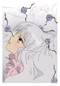 Rating: Safe Score: 0 Tags: 1girl blue_flower blue_rose face flower frills image kirakishou leaf long_hair plant profile purple_rose rose silver_hair solo thorns vines white_flower white_rose yellow_eyes User: admin