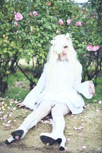 Rating: Safe Score: 0 Tags: 1girl animal_ears day dress flower grass hair_over_one_eye kirakishou long_hair outdoors petals pink_flower shoes sitting solo striped vertical_stripes white_dress white_hair white_legwear User: admin