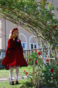 Rating: Safe Score: 0 Tags: 1girl blonde_hair bow day dress flower mary_janes outdoors pantyhose plant red_dress shinku short_hair solo standing User: admin