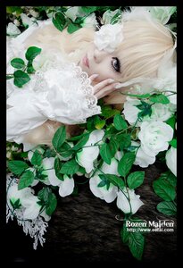 Rating: Safe Score: 0 Tags: 1girl bangs black_border blonde_hair flower hands_on_own_face kirakishou leaf letterboxed lips long_hair plant solo upper_body white_flower white_rose User: admin