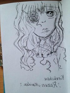 Rating: Safe Score: 0 Tags: 1girl dress flower image kirakishou long_hair looking_at_viewer monochrome photo shikishi solo traditional_media User: admin
