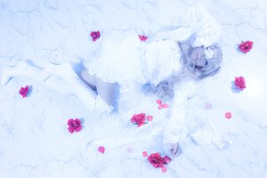 Rating: Safe Score: 0 Tags: 1girl closed_eyes flower kirakishou petals red_flower red_rose rose solo water User: admin